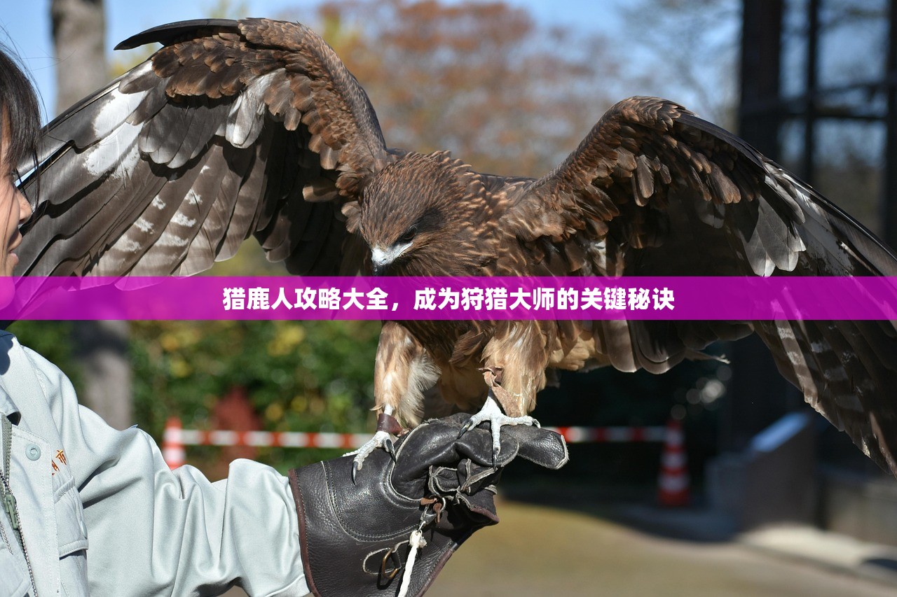 猎鹿人攻略大全，成为狩猎大师的关键秘诀