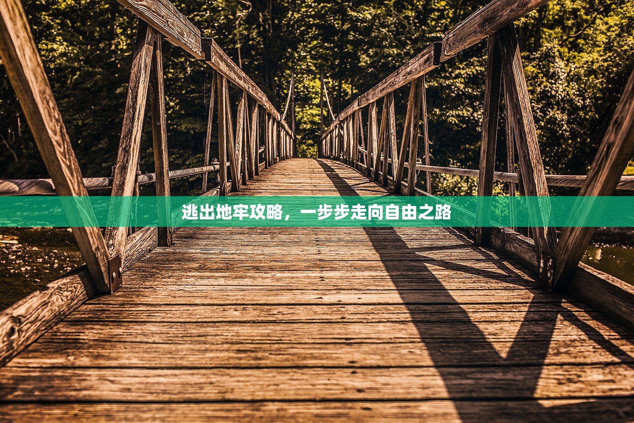 逃出地牢攻略，一步步走向自由之路