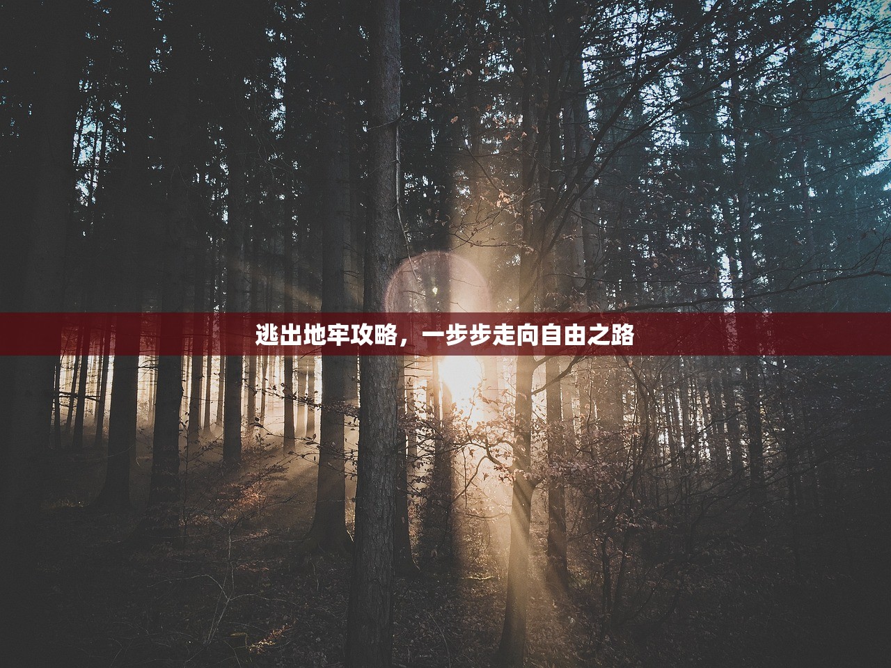 逃出地牢攻略，一步步走向自由之路