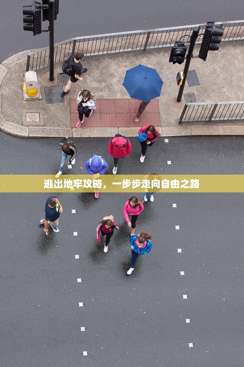 逃出地牢攻略，一步步走向自由之路