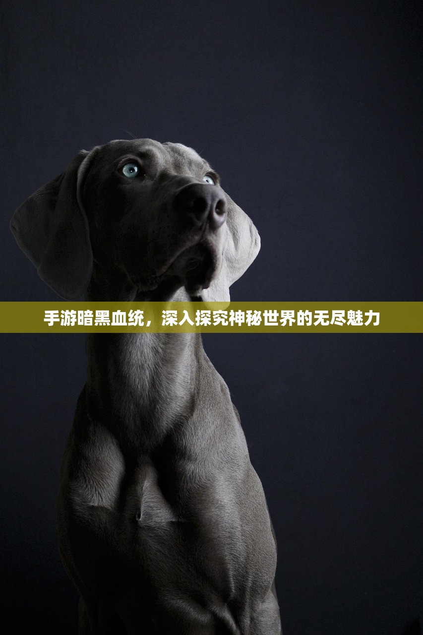 手游暗黑血统，深入探究神秘世界的无尽魅力