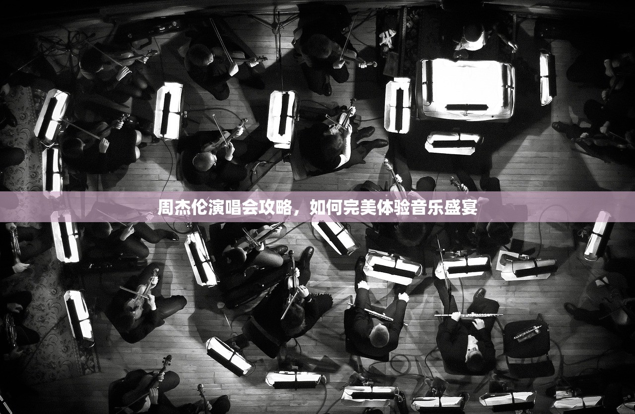周杰伦演唱会攻略，如何完美体验音乐盛宴
