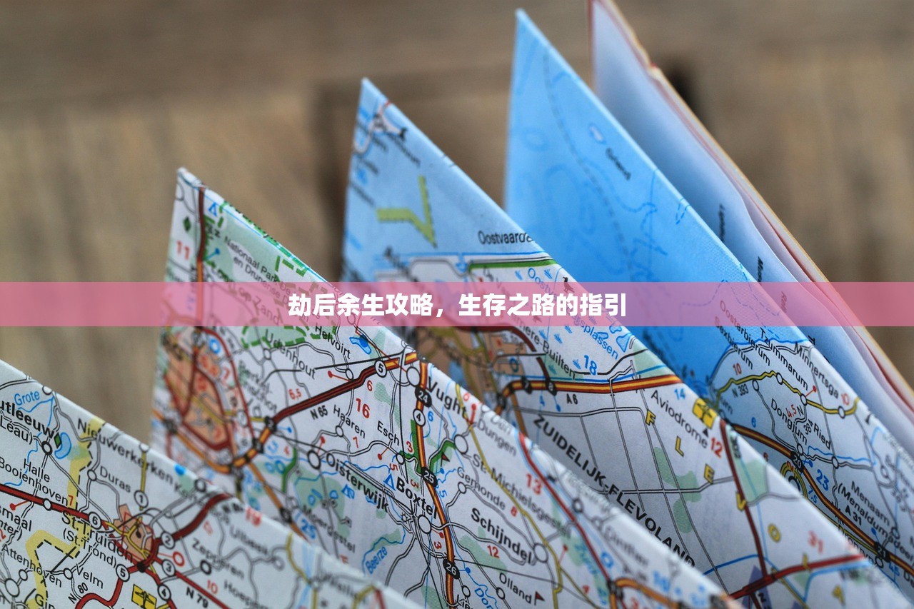 劫后余生攻略，生存之路的指引