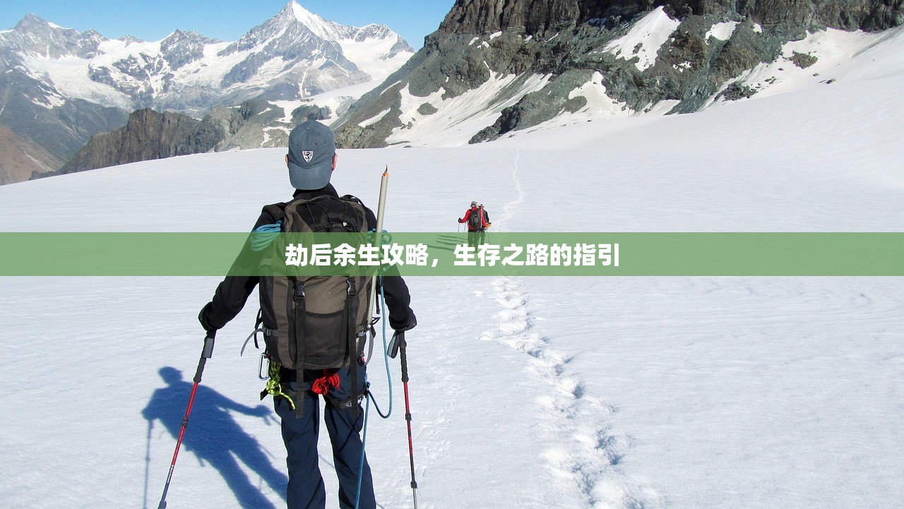 劫后余生攻略，生存之路的指引