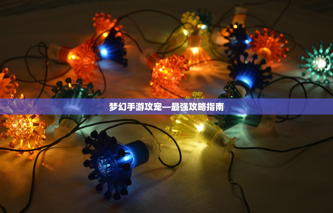 梦幻手游攻宠—最强攻略指南
