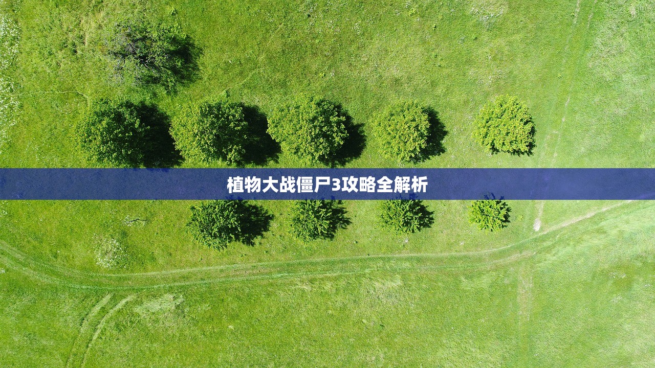 植物大战僵尸3攻略全解析