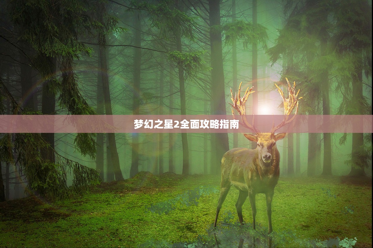 梦幻之星2全面攻略指南