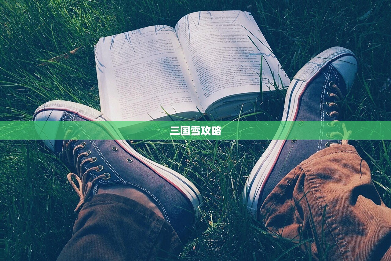 三国雪攻略