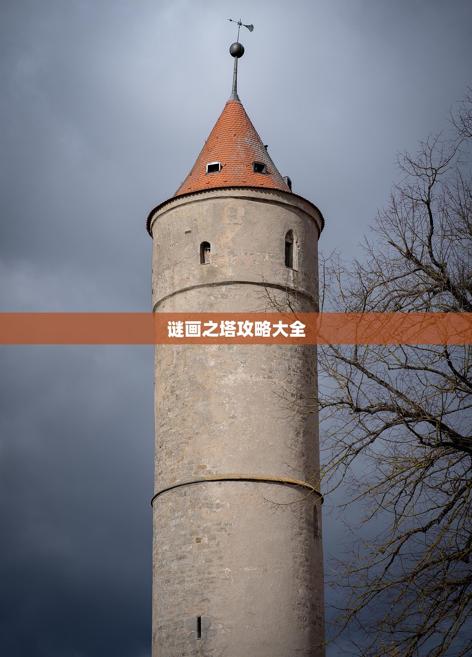 谜画之塔攻略大全
