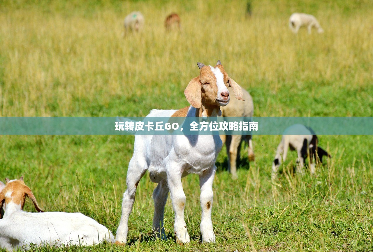 玩转皮卡丘GO，全方位攻略指南