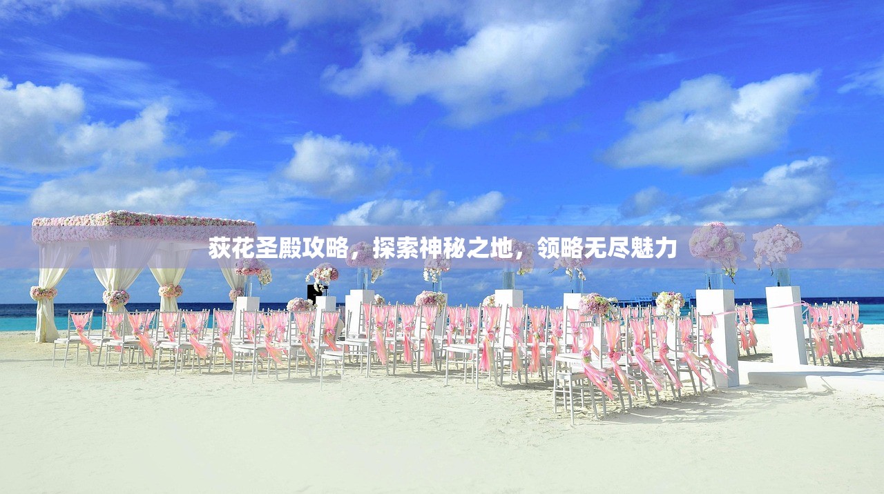 荻花圣殿攻略，探索神秘之地，领略无尽魅力