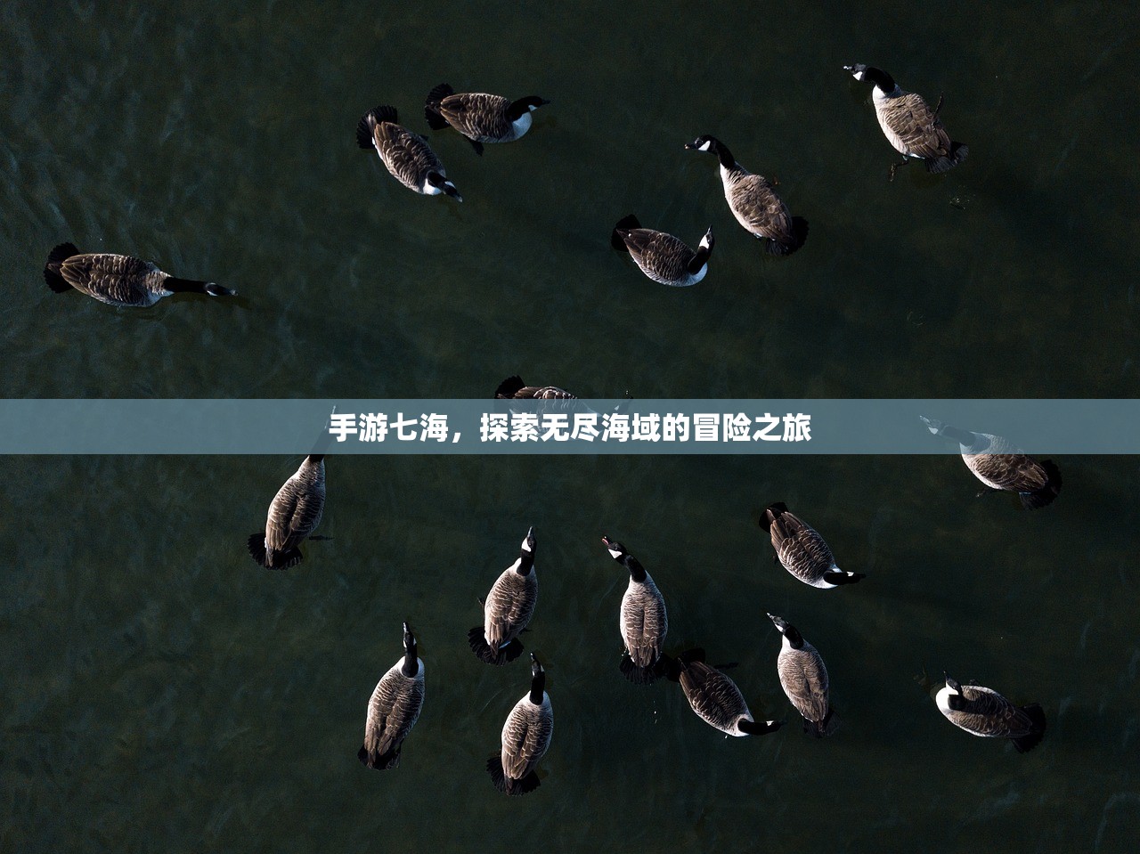 手游七海，探索无尽海域的冒险之旅