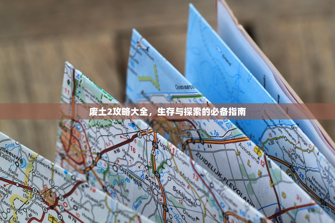 废土2攻略大全，生存与探索的必备指南