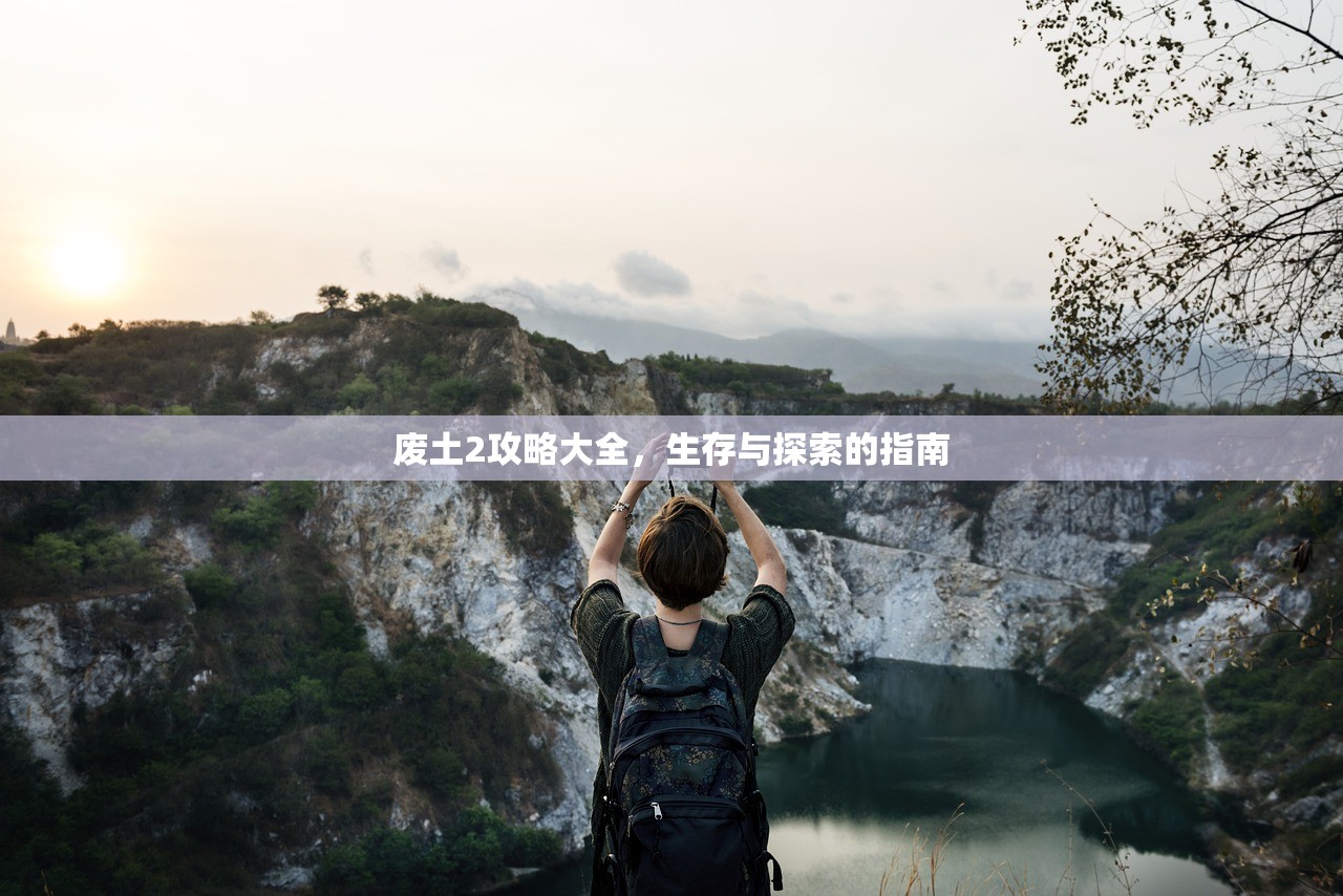 废土2攻略大全，生存与探索的指南