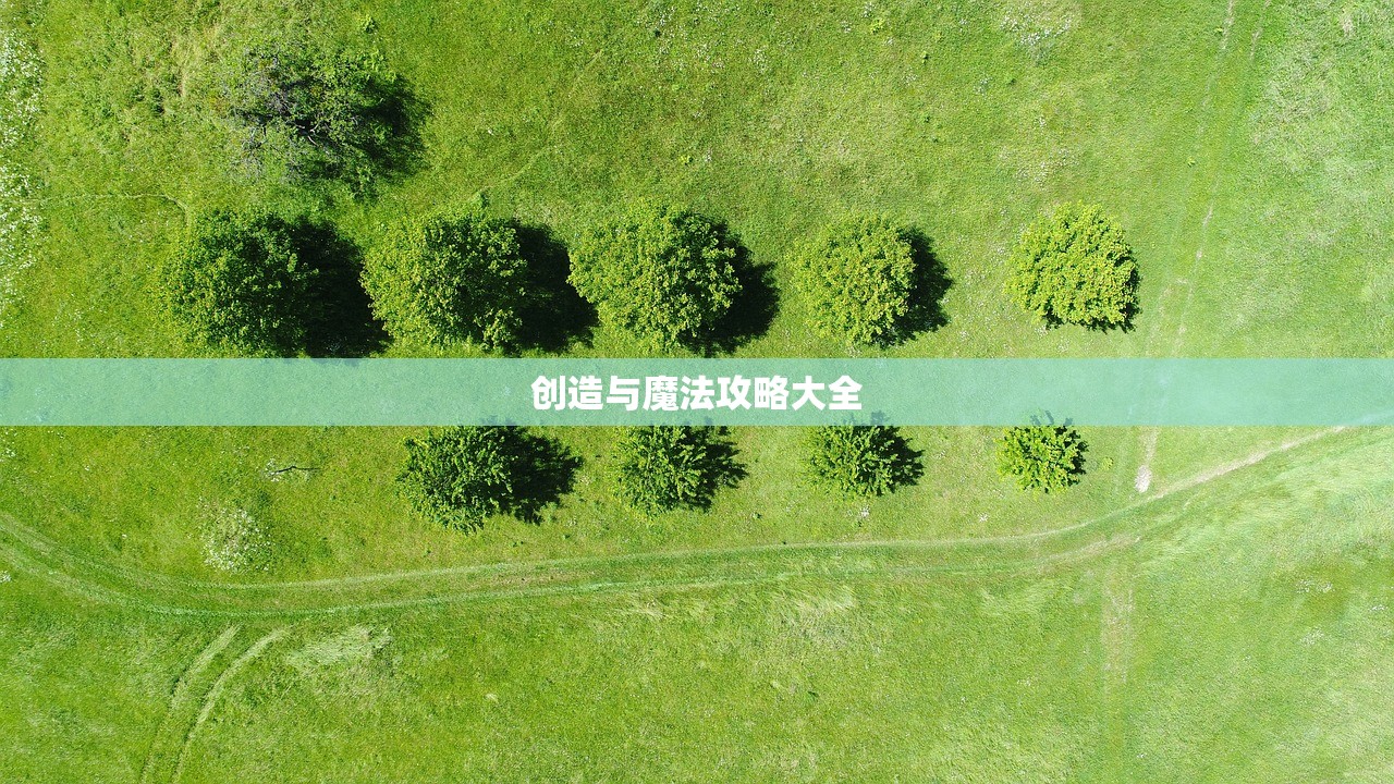 创造与魔法攻略大全