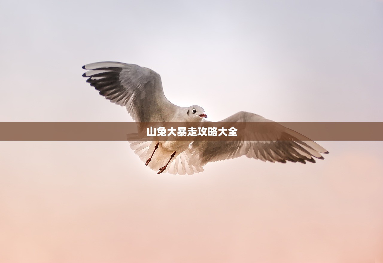 山兔大暴走攻略大全