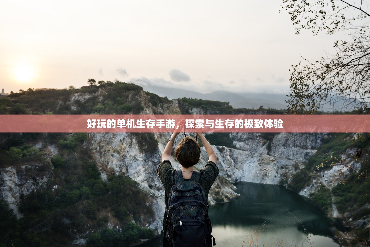 好玩的单机生存手游，探索与生存的极致体验