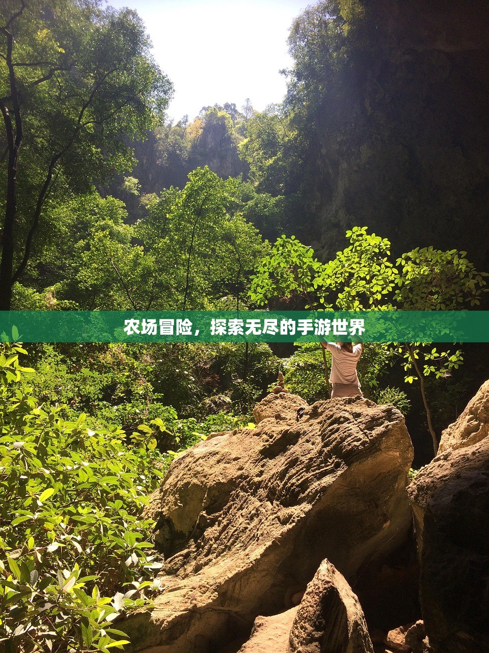 农场冒险，探索无尽的手游世界
