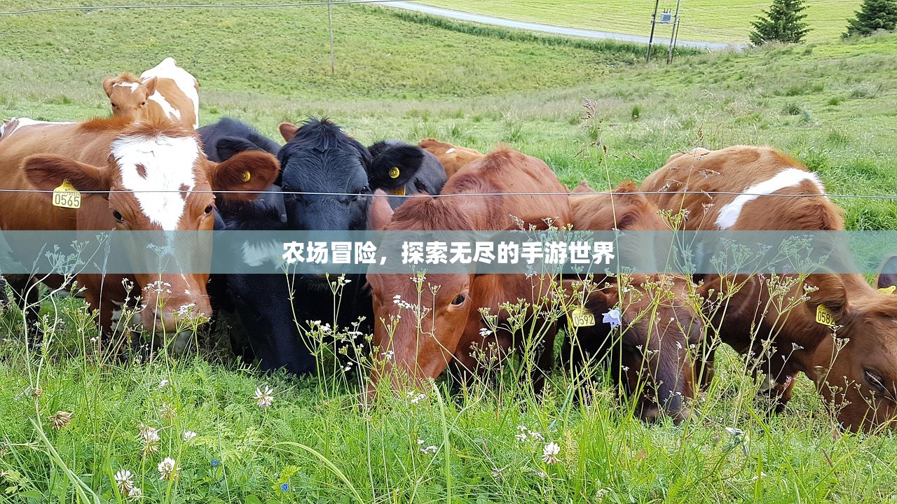 农场冒险，探索无尽的手游世界