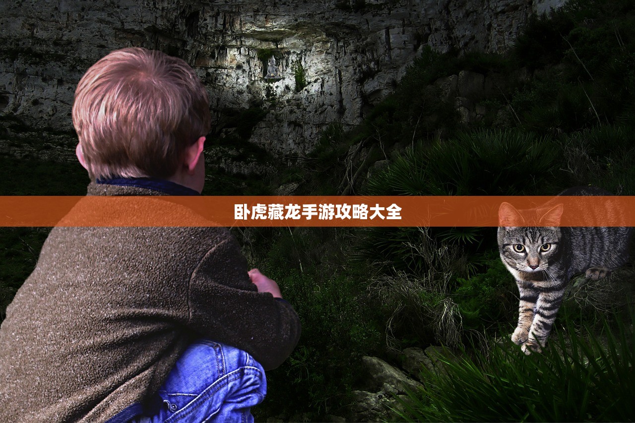 卧虎藏龙手游攻略大全