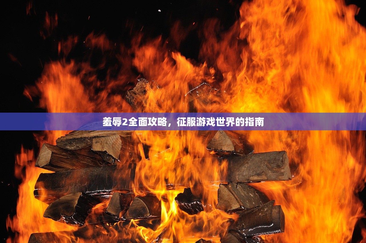 羞辱2全面攻略，征服游戏世界的指南