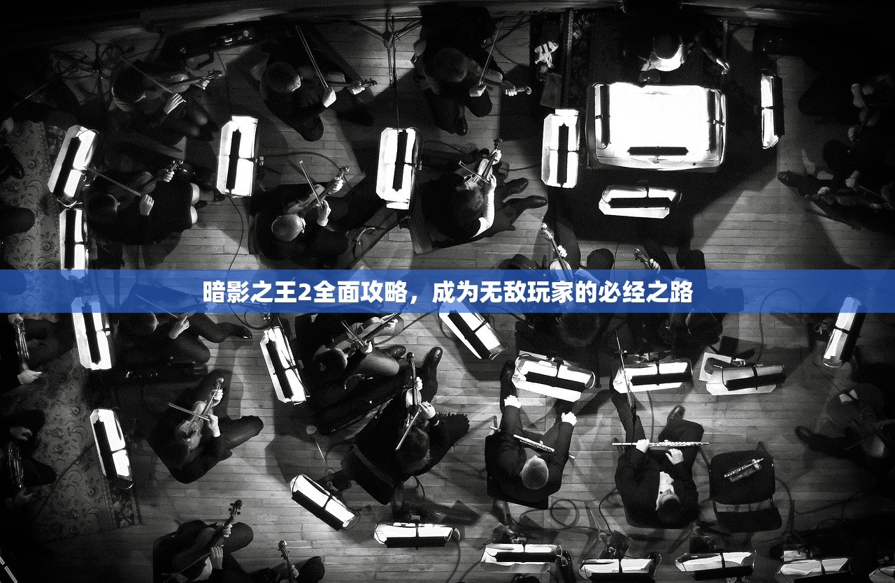 暗影之王2全面攻略，成为无敌玩家的必经之路