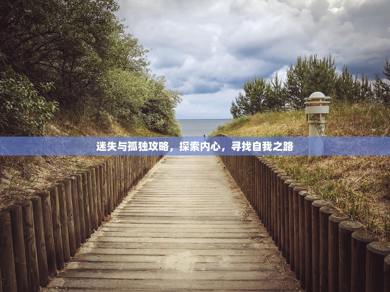 迷失与孤独攻略，探索内心，寻找自我之路