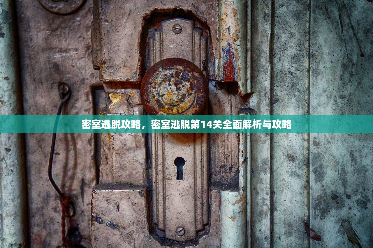 密室逃脱攻略，密室逃脱第14关全面解析与攻略