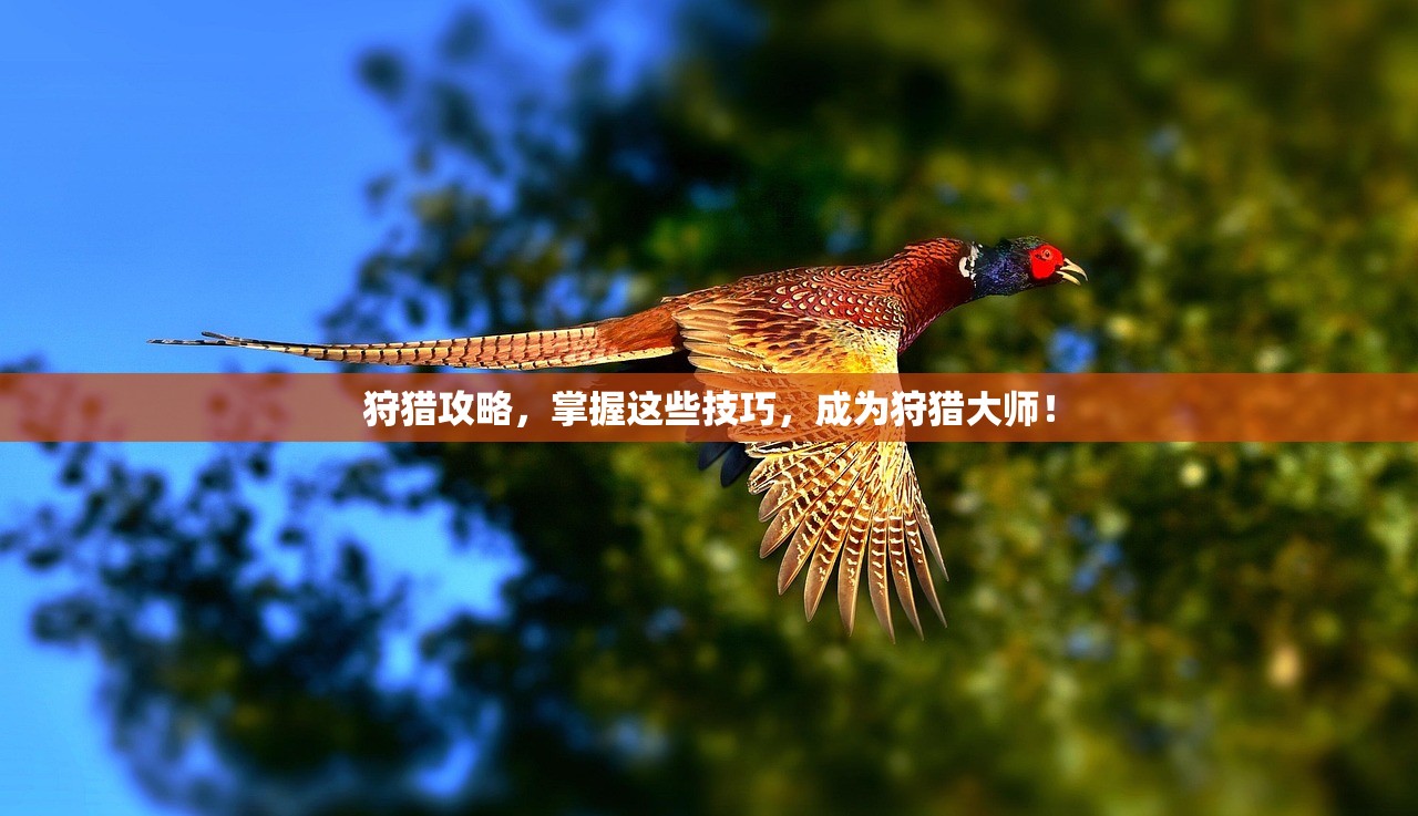 狩猎攻略，掌握这些技巧，成为狩猎大师！