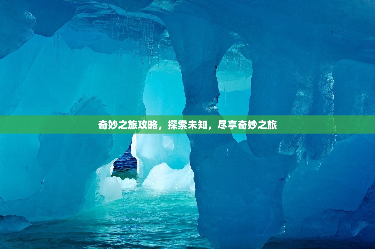 奇妙之旅攻略，探索未知，尽享奇妙之旅