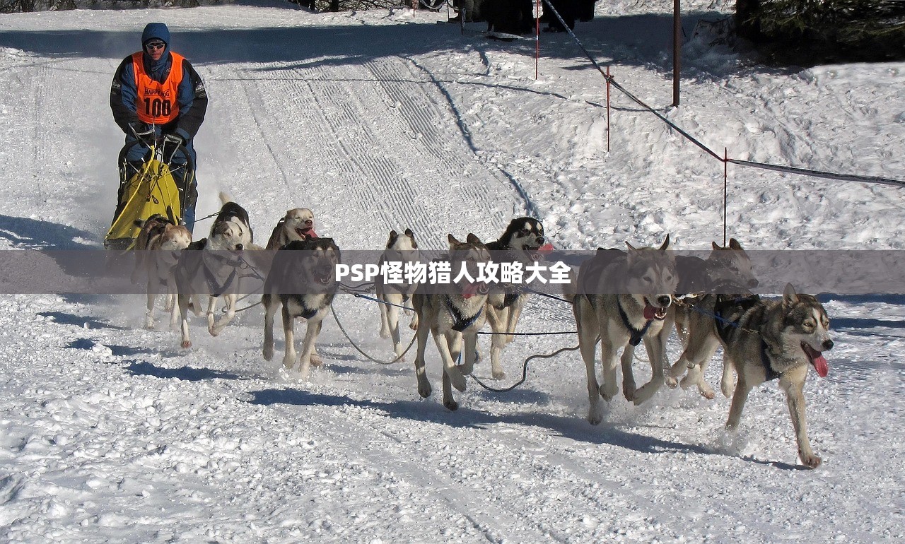 PSP怪物猎人攻略大全