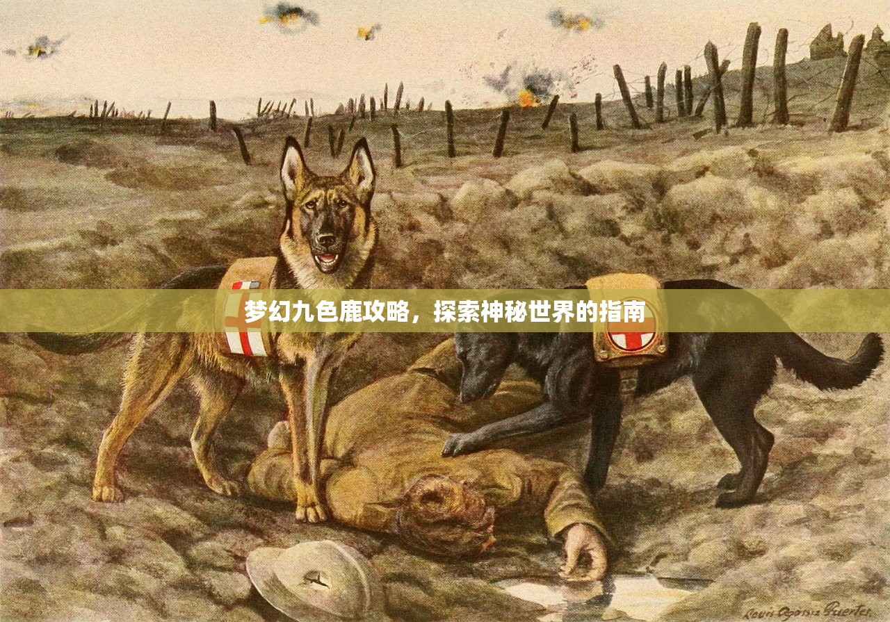 梦幻九色鹿攻略，探索神秘世界的指南