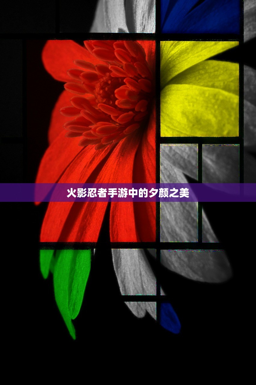 火影忍者手游中的夕颜之美