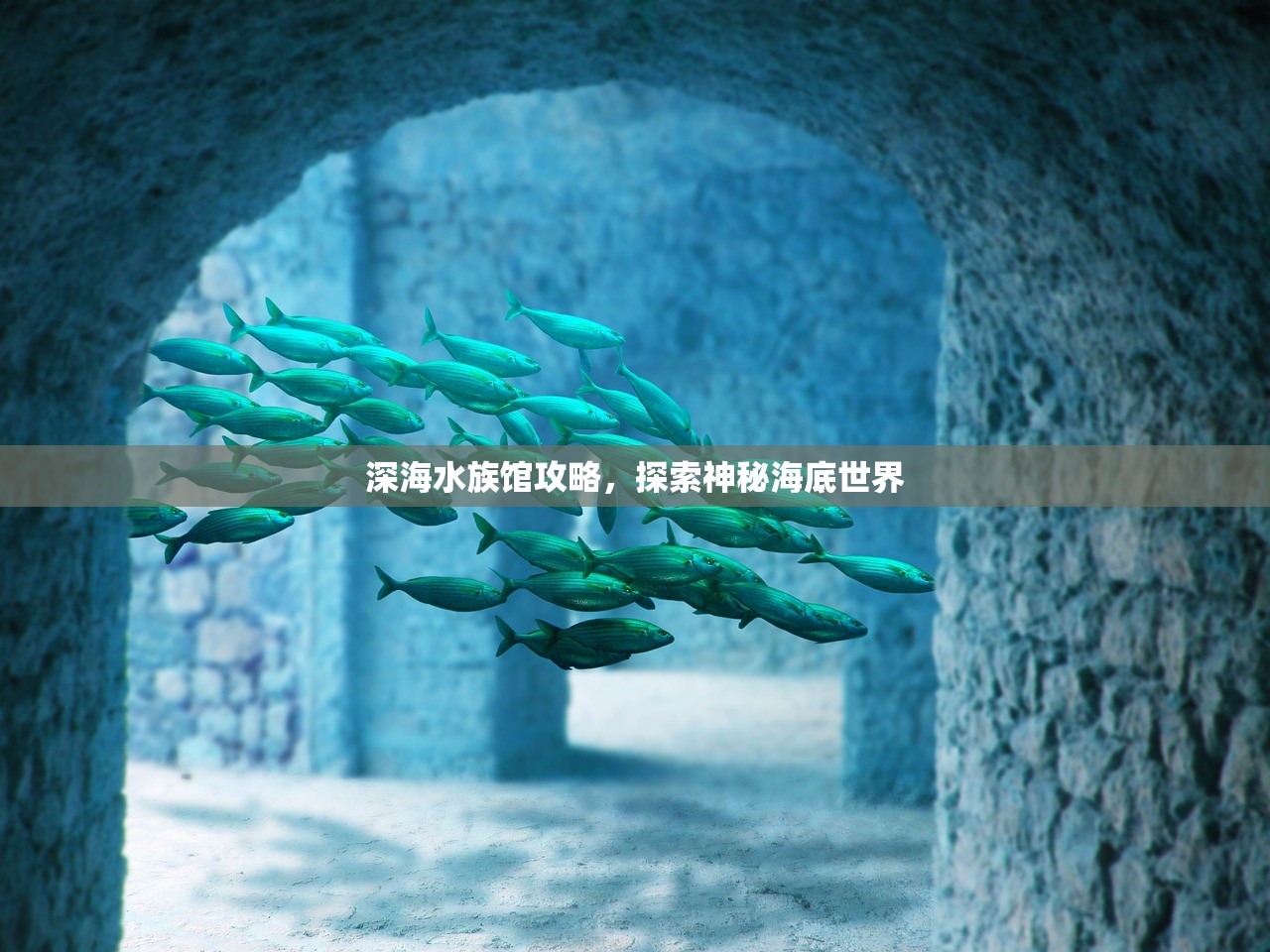 深海水族馆攻略，探索神秘海底世界