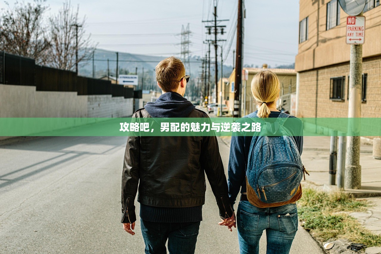 攻略吧，男配的魅力与逆袭之路