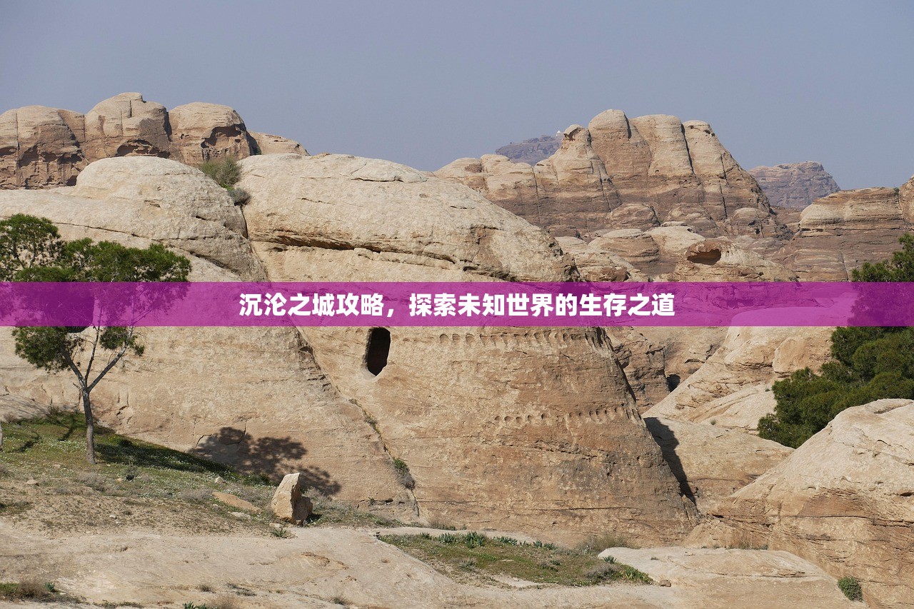 沉沦之城攻略，探索未知世界的生存之道