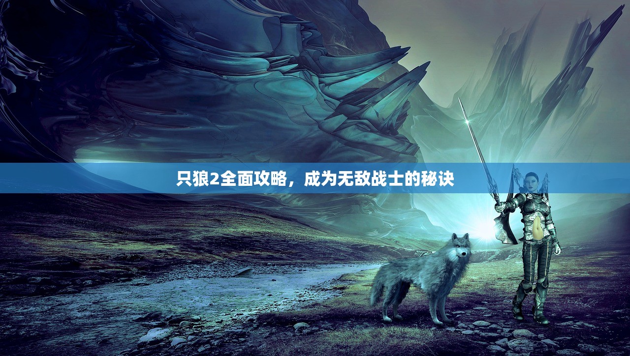 只狼2全面攻略，成为无敌战士的秘诀