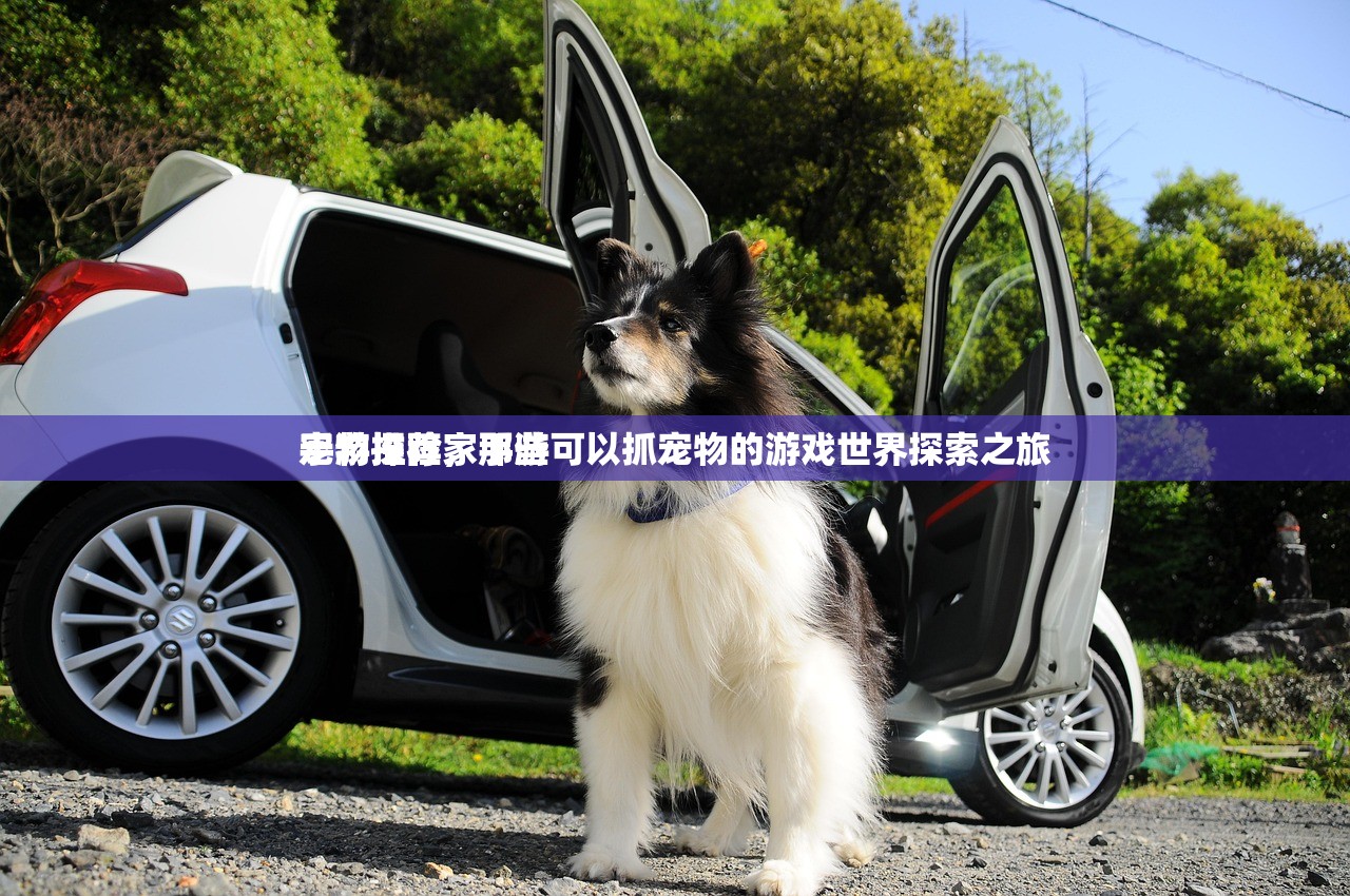 手游推荐，那些可以抓宠物的游戏世界探索之旅
宠物探险家手游