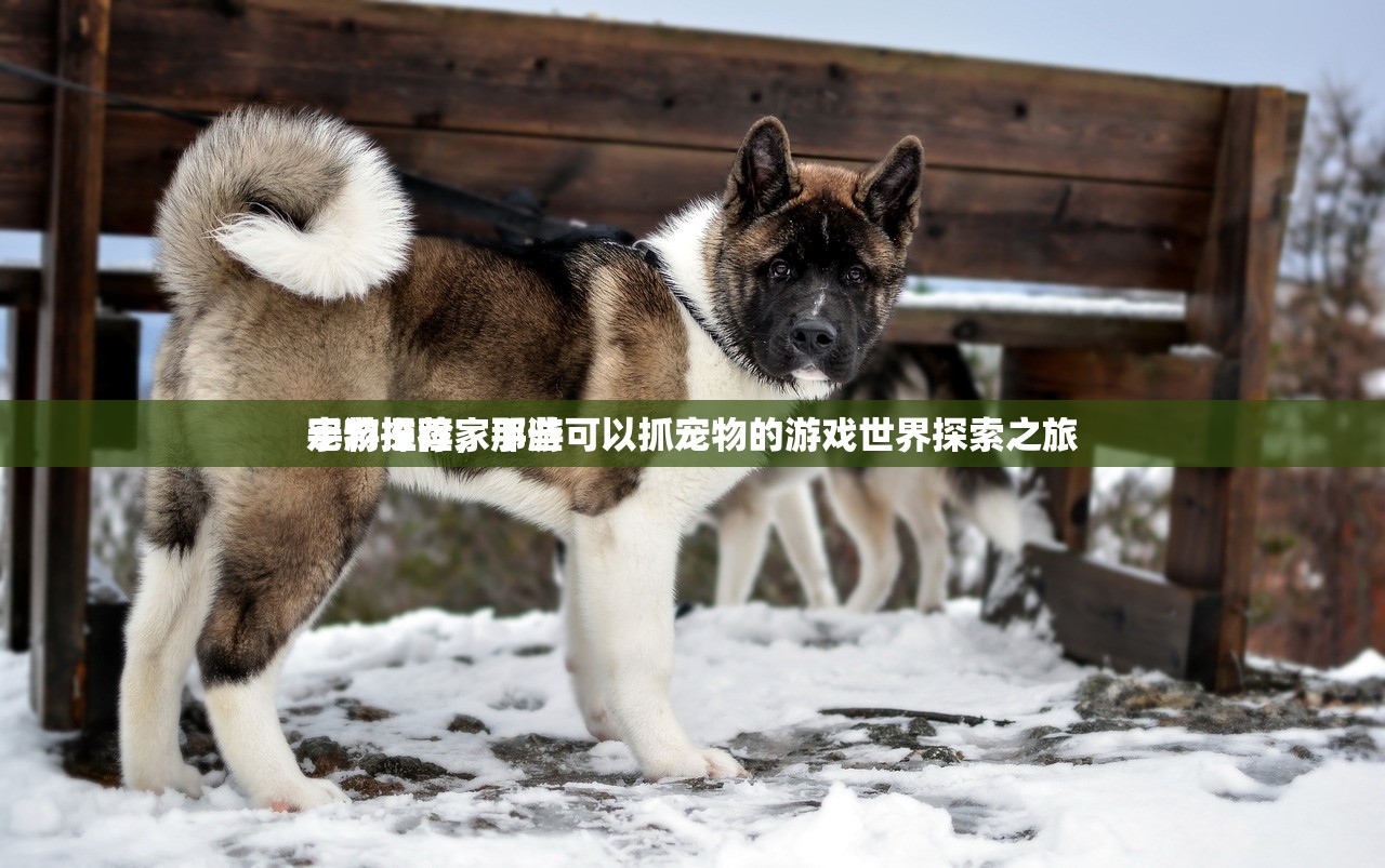 手游推荐，那些可以抓宠物的游戏世界探索之旅
宠物探险家手游