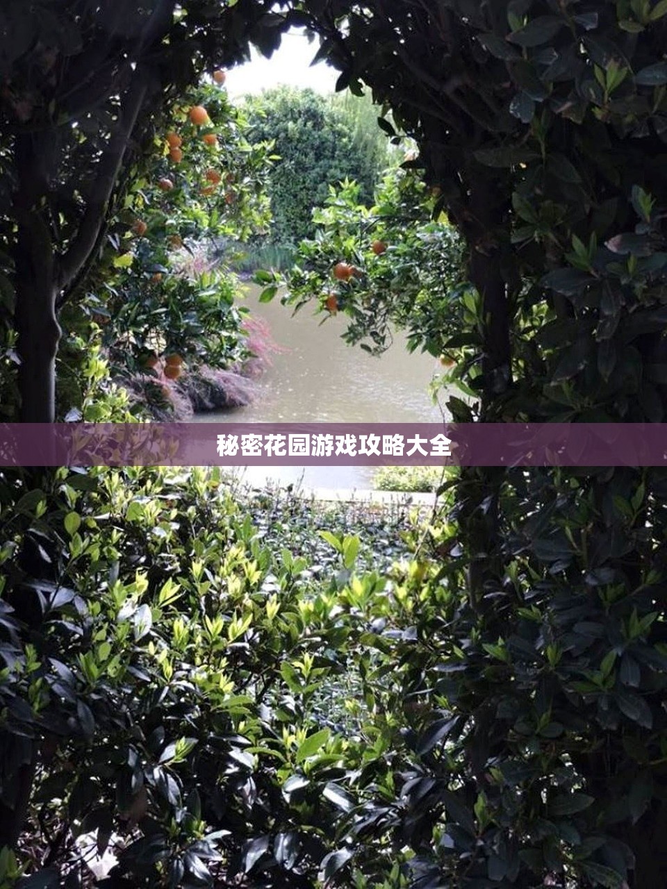 秘密花园游戏攻略大全