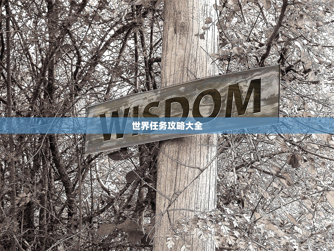 世界任务攻略大全