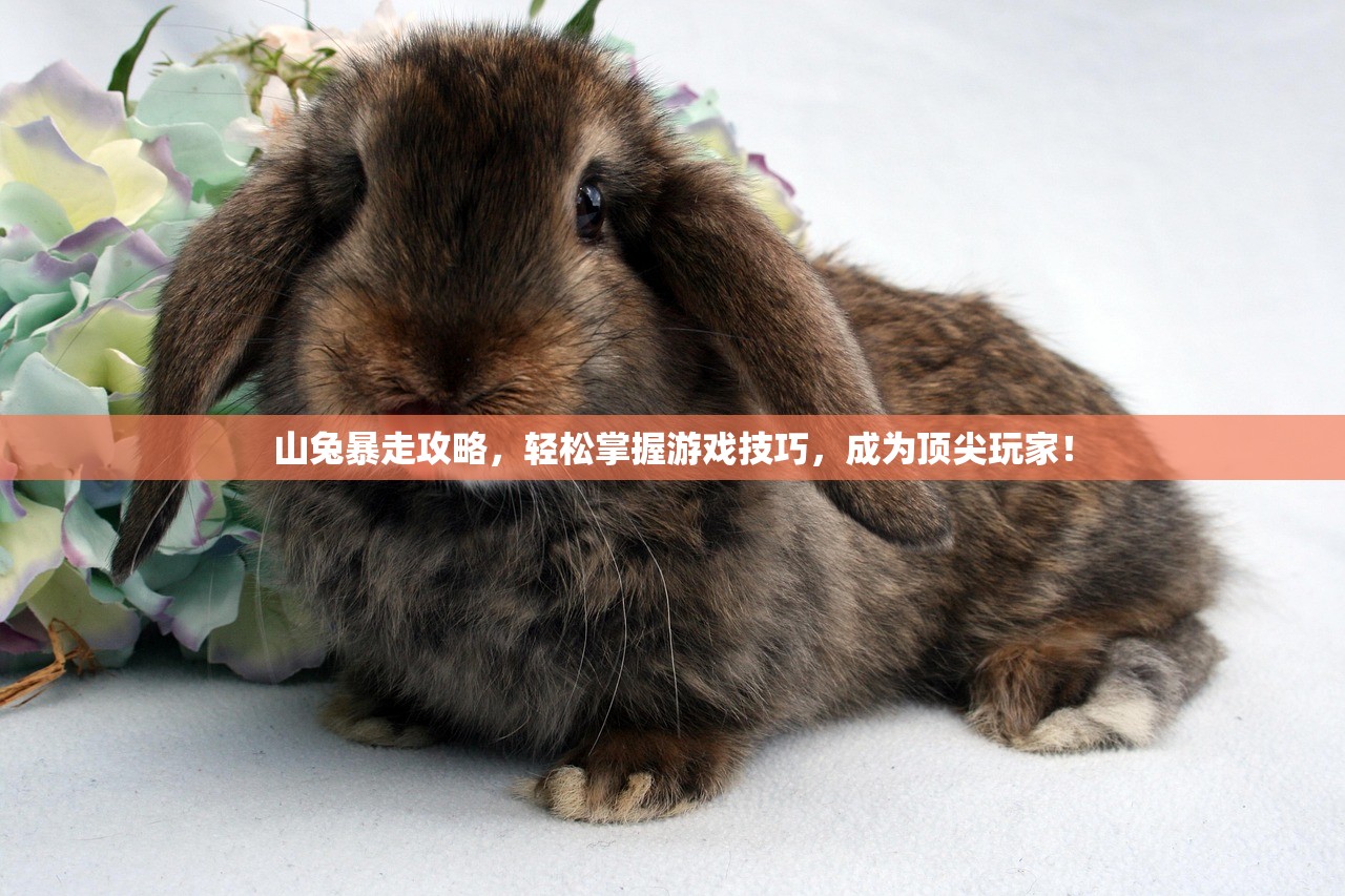 山兔暴走攻略，轻松掌握游戏技巧，成为顶尖玩家！