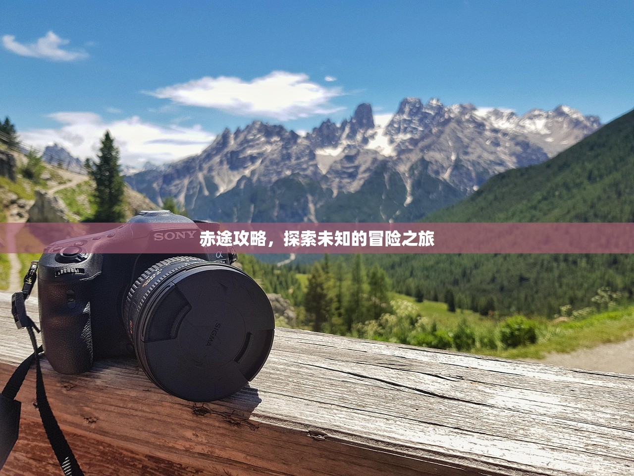 赤途攻略，探索未知的冒险之旅