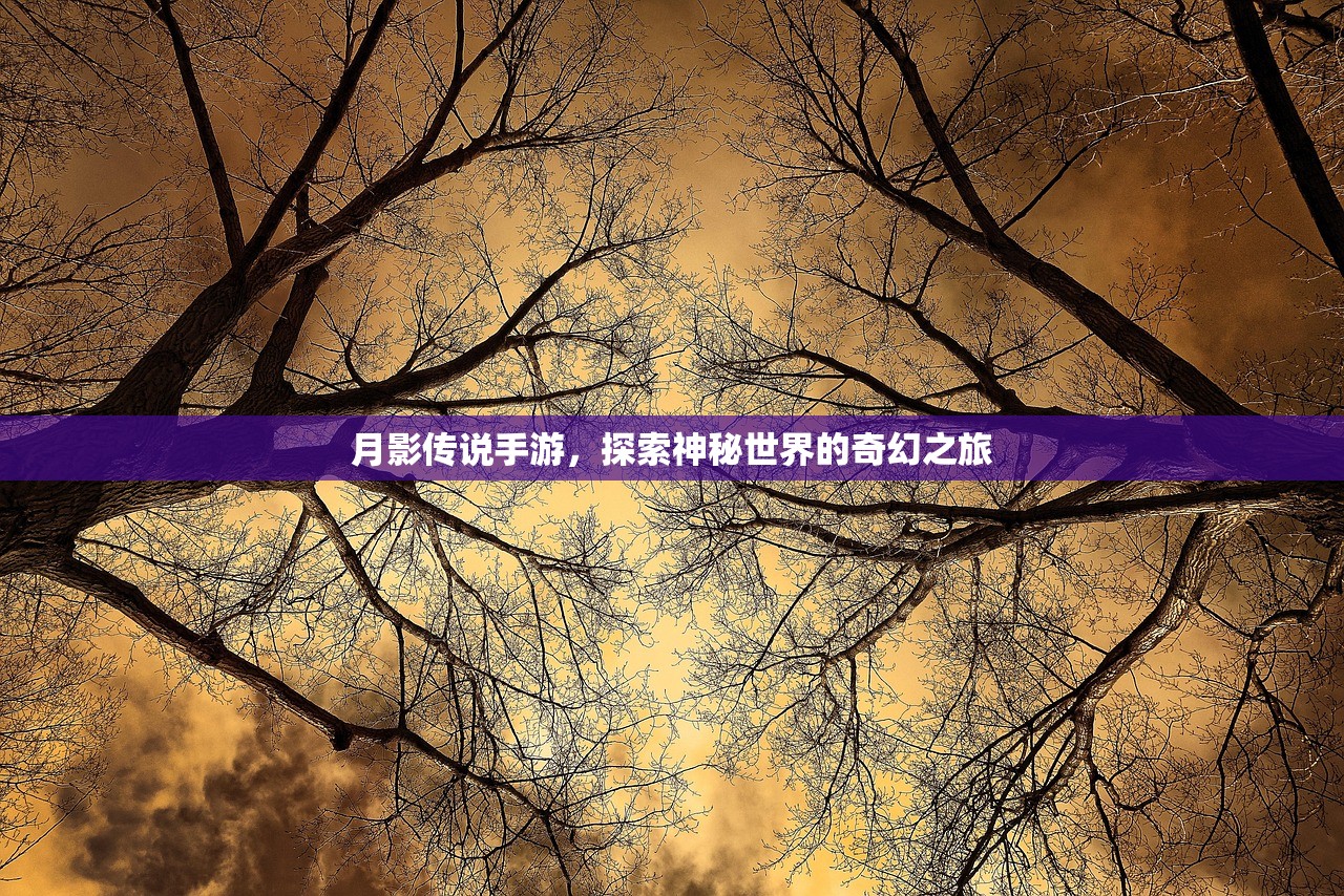 月影传说手游，探索神秘世界的奇幻之旅