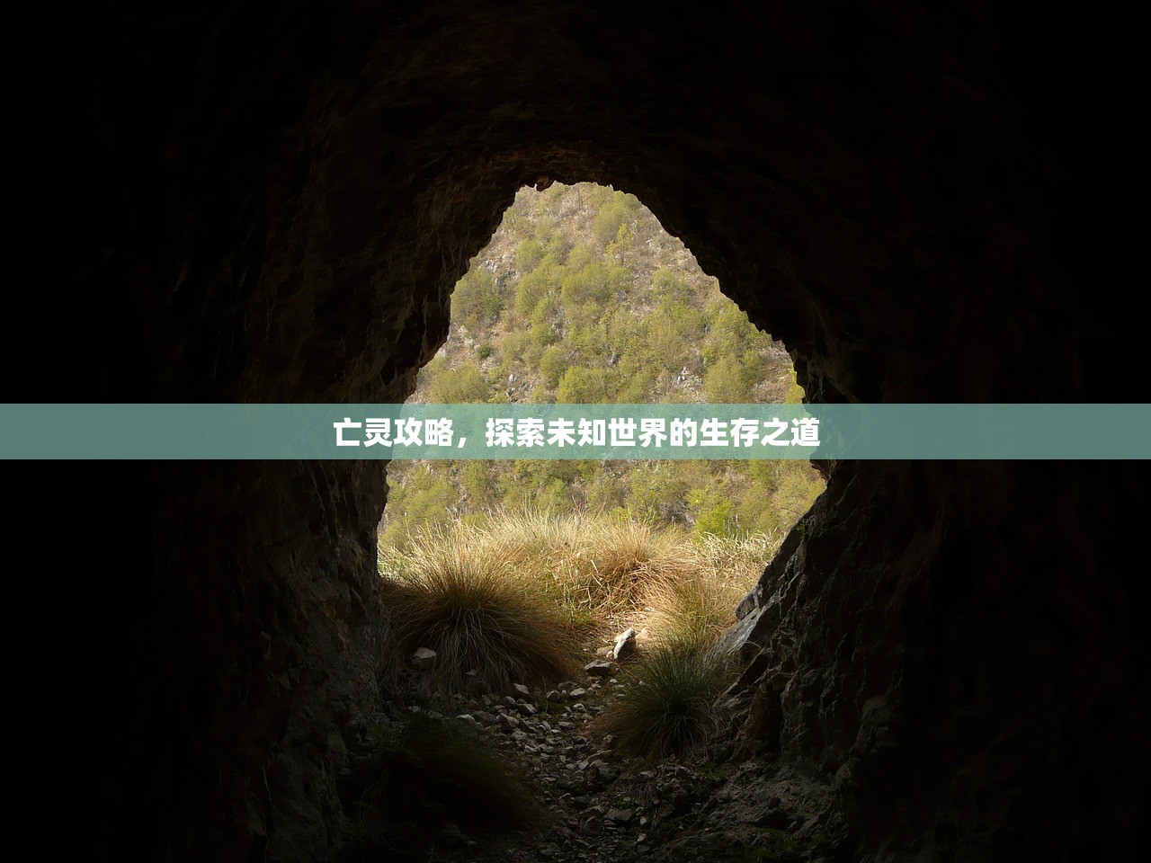 亡灵攻略，探索未知世界的生存之道