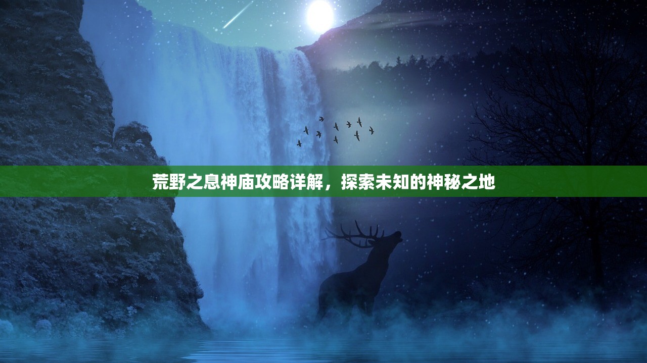 荒野之息神庙攻略详解，探索未知的神秘之地