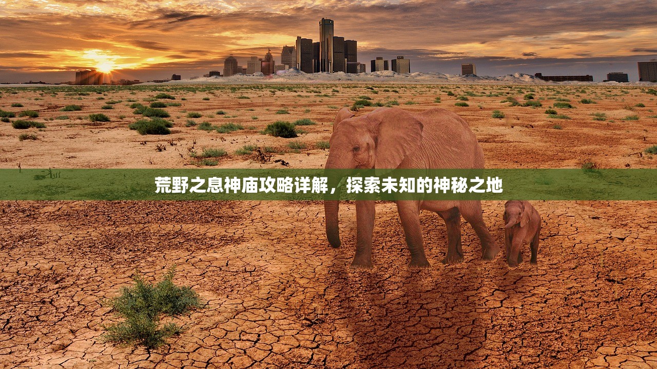 荒野之息神庙攻略详解，探索未知的神秘之地