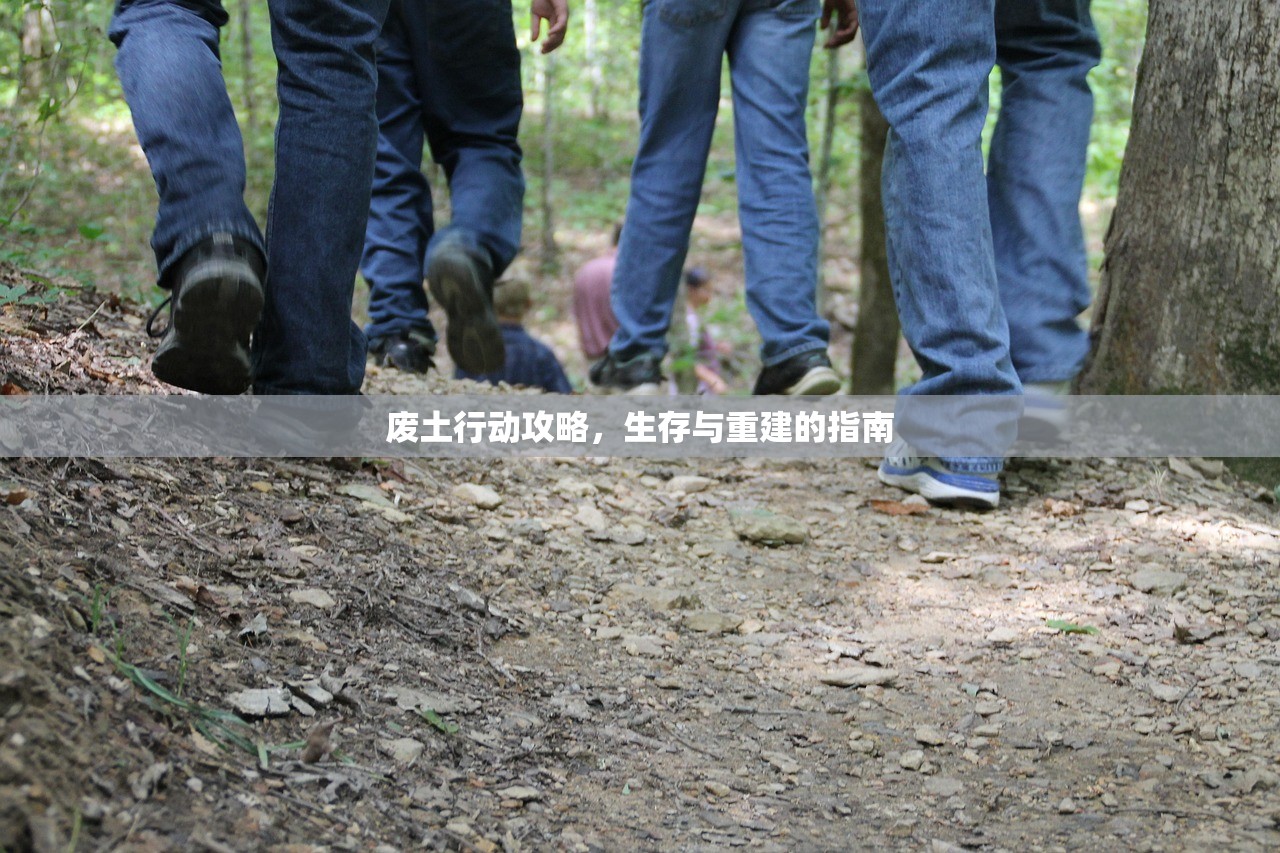 废土行动攻略，生存与重建的指南