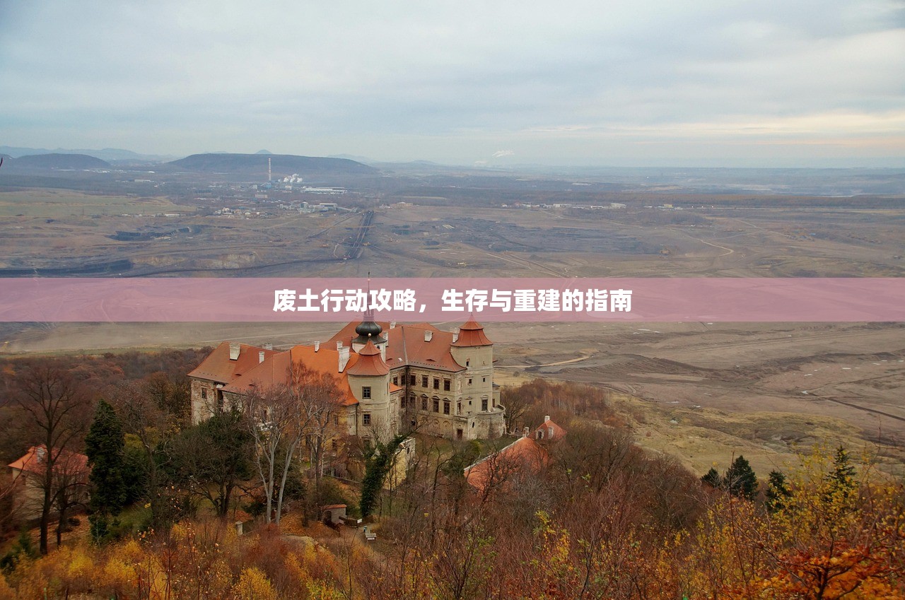 废土行动攻略，生存与重建的指南