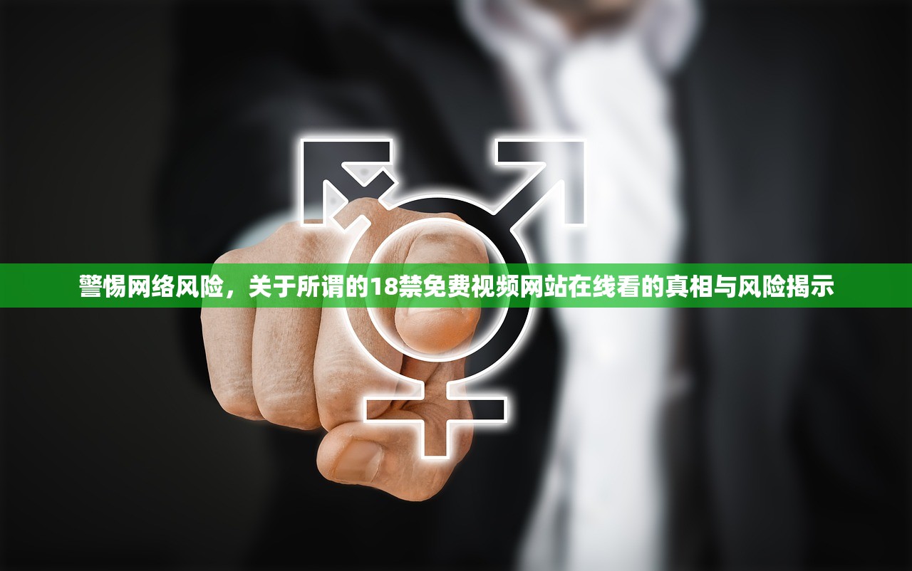 警惕网络风险，关于所谓的18禁免费视频网站在线看的真相与风险揭示